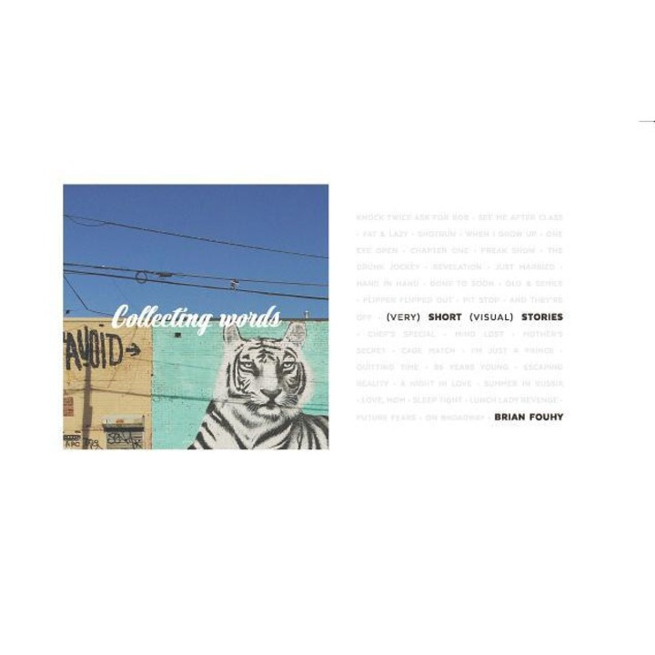 Collecting Words: Short Visual Stories, Brian Fouhy (Author)