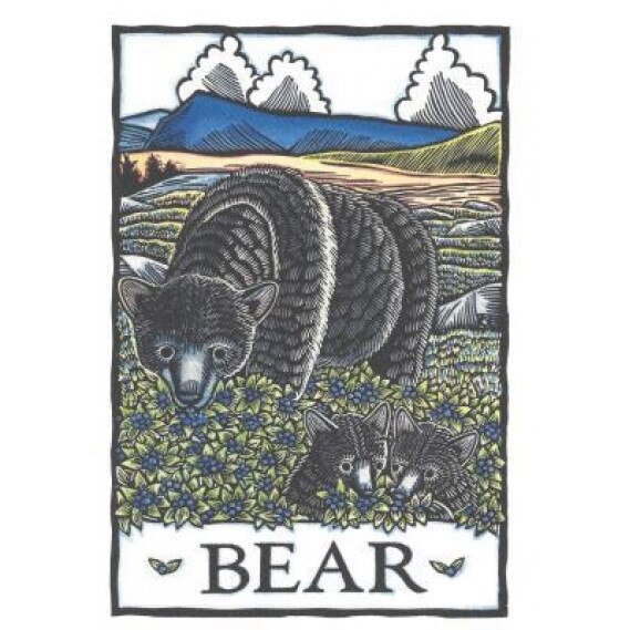 Andrea Wisnewski Greeting Cards, Andrea Wisnewski (Illustrator)