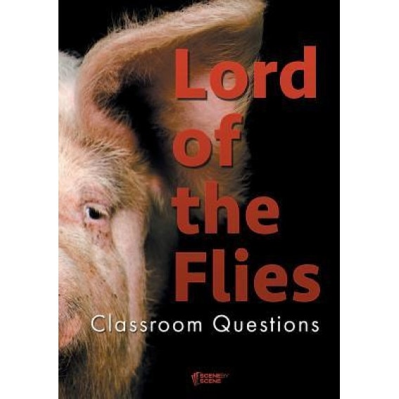 Lord of the Flies Classroom Questions, Amy Farrell (Author)