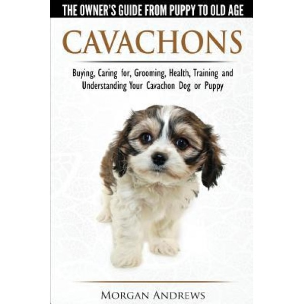 Cavachons - The Owner's Guide from Puppy to Old Age - Choosing, Caring For, Grooming, Health, Training and Understanding Your Cavachon Dog or Puppy, Morgan Andrews (Author)