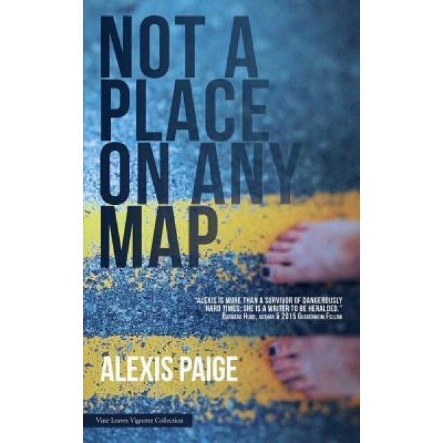 Not a Place on Any Map, Alexis Paige (Author)