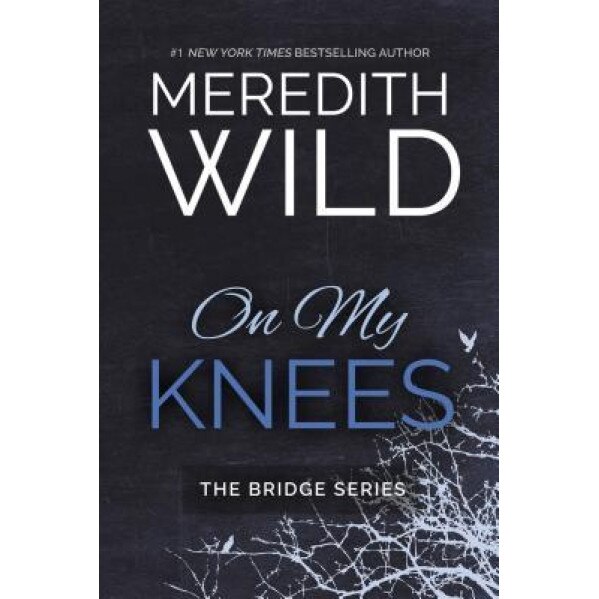 On My Knees, Meredith Wild (Author)