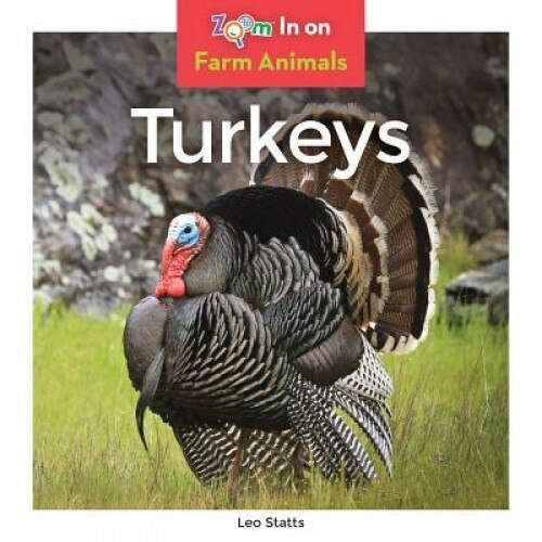 Turkeys, Leo Statts (Author)