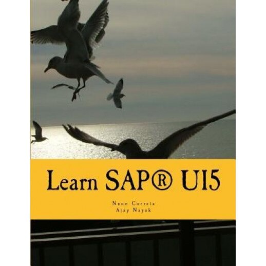 Learn Sapui5: The New Enterprise JavaScript Framework with Examples, Nuno Correia (Author)