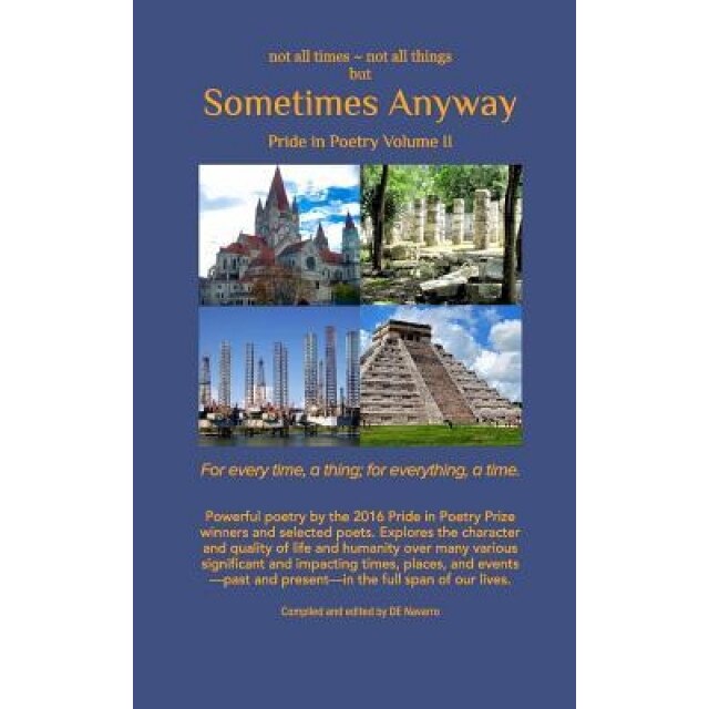 Sometimes Anyway, David E. Navarro (Author)