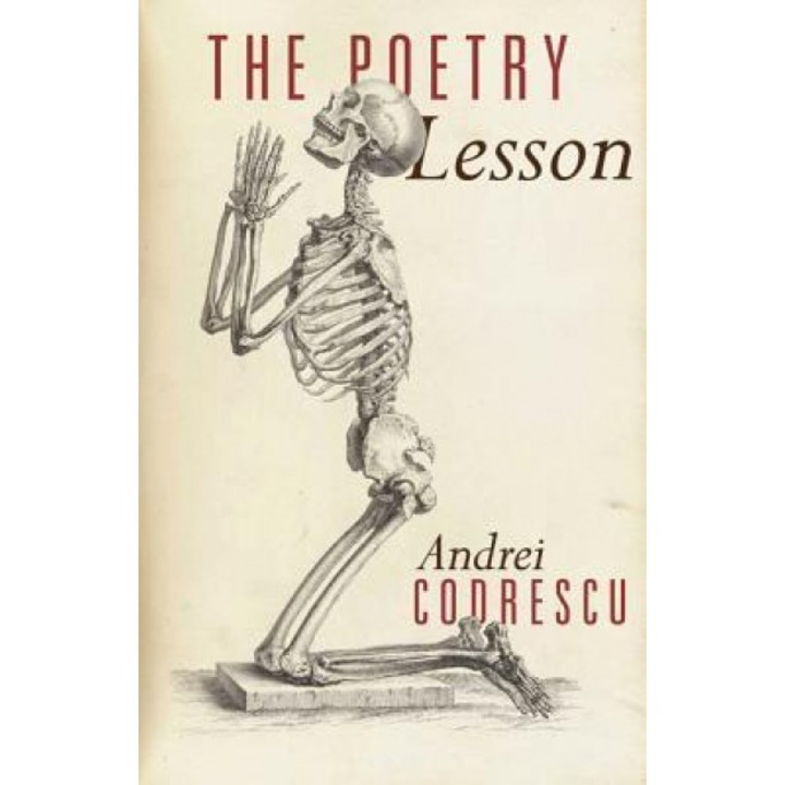 The Poetry Lesson, Andrei Codrescu (Author)