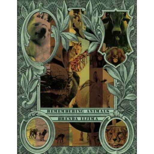 Remembering Animals, Brenda Iijima (Author)