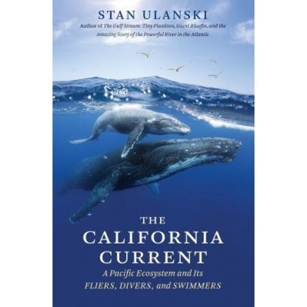 The California Current: A Pacific Ecosystem and Its Fliers, Divers, and Swimmers, Stan Ulanski (Author)