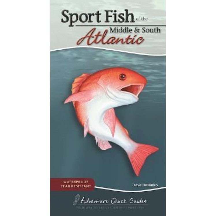 Sport Fish of the Middle & South Atlantic: Including Delaware, Florida, Georgia, Maryland, North Carolina, South Carolina and Virginia, Dave Bosanko (Author)