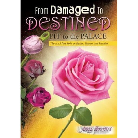 From Damaged to Destined - April D. Houston (Author)
