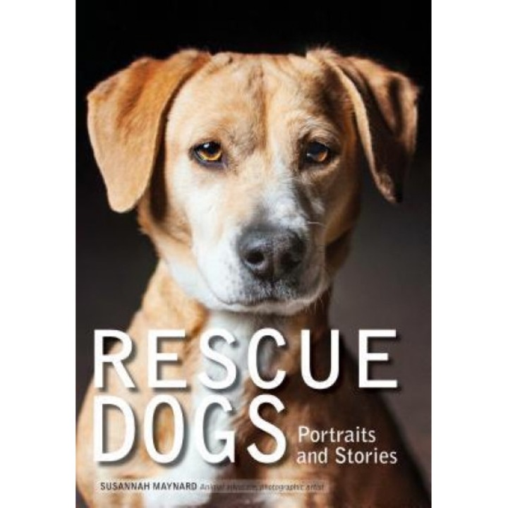 Rescue Dogs: Portraits and Stories, Susannah Maynard (Author)