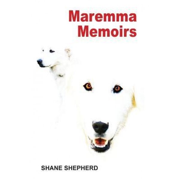 Maremma Memoirs, Shane Shepherd (Author)