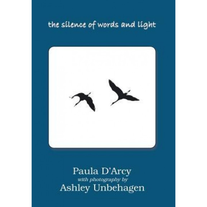 The Silence of Words and Light, Paula D'Arcy (Author)
