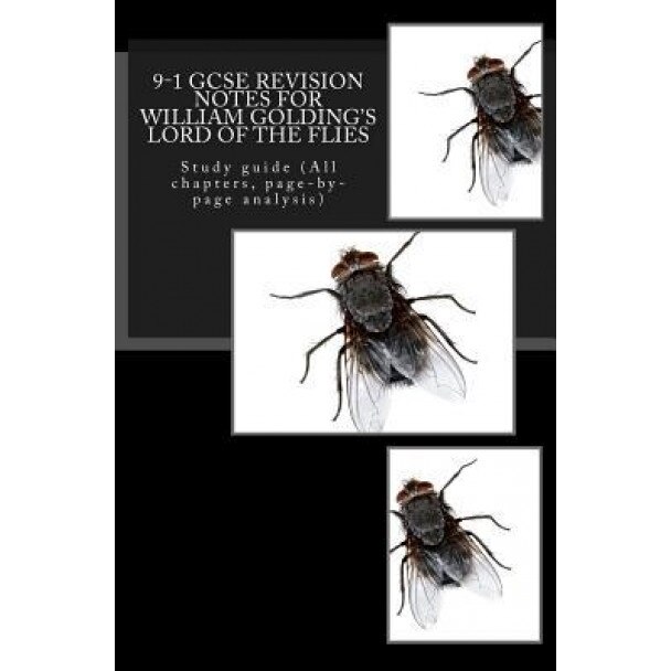 9-1 Gcse Revision Notes for William Golding's Lord of the Flies: Study Guide (All Chapters, Page-By-Page Analysis), MR Joe Broadfoot (Author)