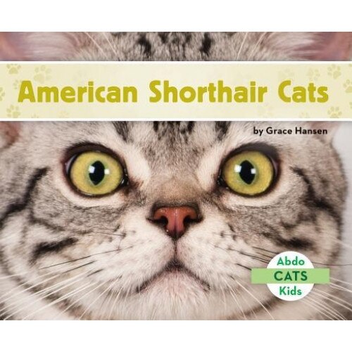 American Shorthair Cats, Grace Hansen (Author)