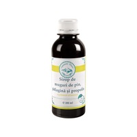 sirop de muguri de pin patlagina si propolis 200ml apuseni plant imagen 19_1_
0