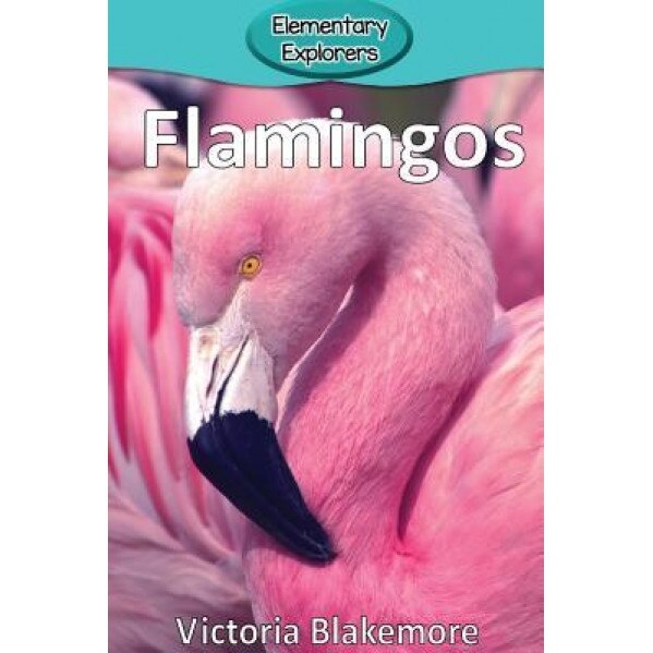 Flamingos, Victoria Blakemore (Author)