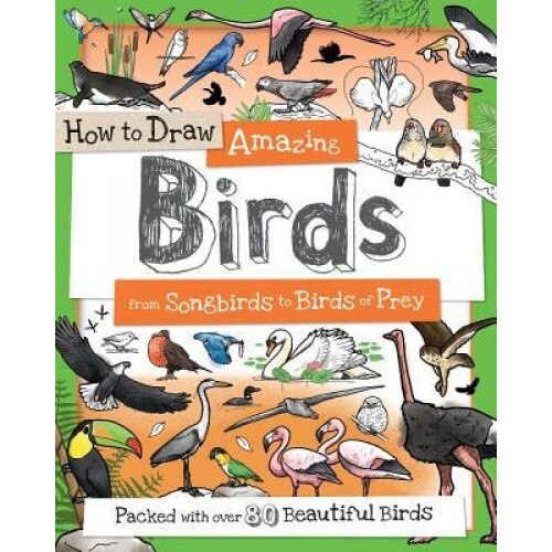 How to Draw Amazing Birds: From Songbirds to Birds of Prey, Fiona Gowen (Illustrator)