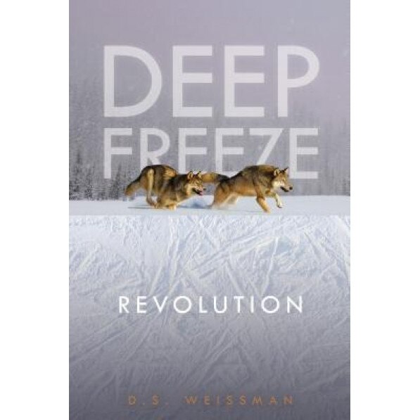 Revolution #4, D. S. Weissman (Author)