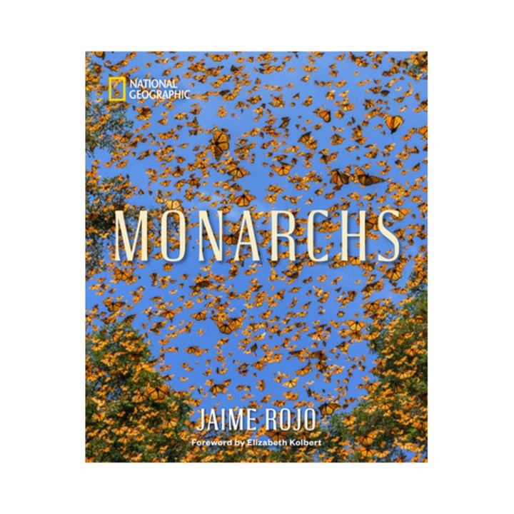 Monarchs - Jaime Rojo