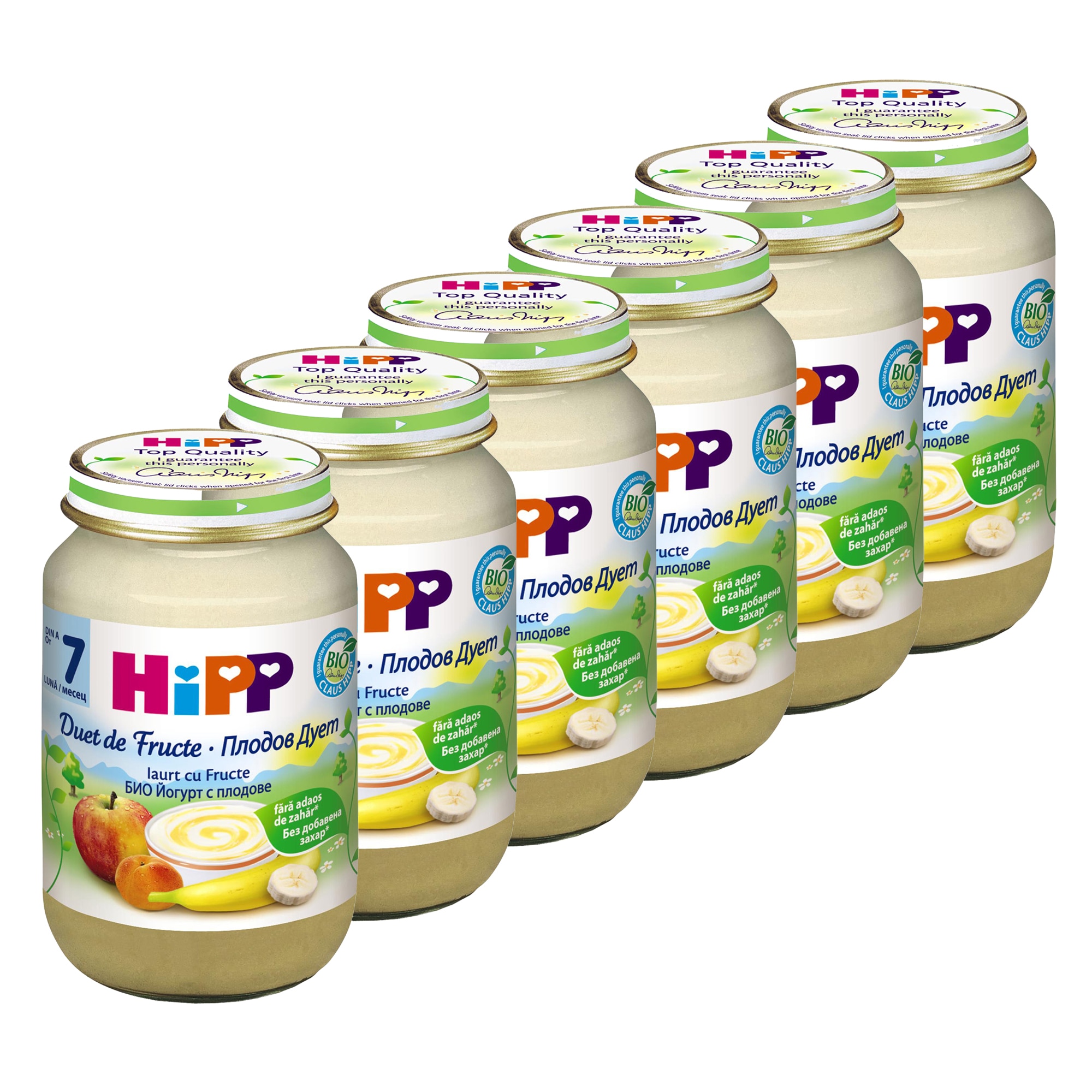 Pachet Fruit-Duet HIPP Iaurt cu Fructe, 160 g, de la 7 luni, 6 buc