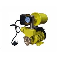 hidrofor maxima wz 25015 cu rezervor de 15 litri 250 w imagen 56_0_
0