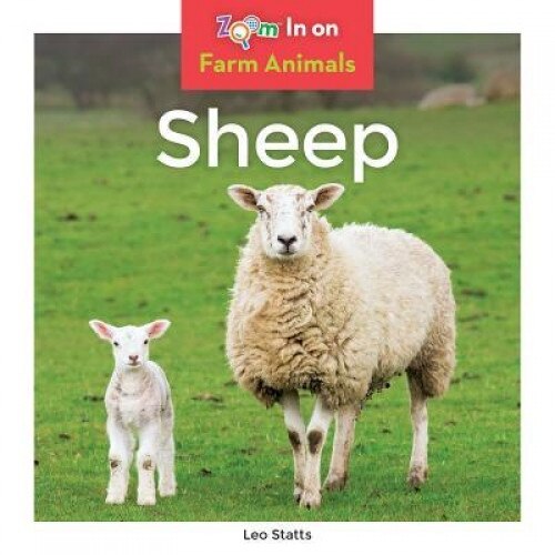 Sheep, Leo Statts (Author)