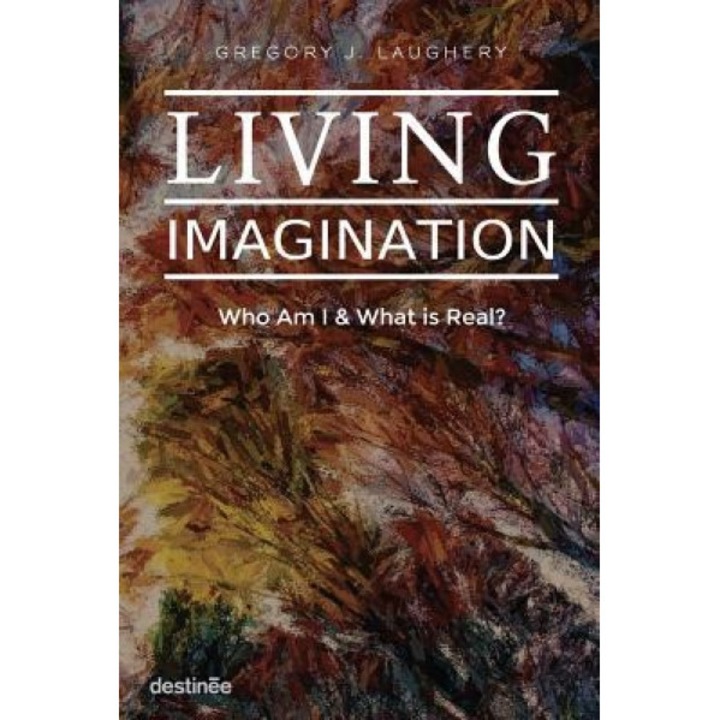 Living Imagination: Who Am I and What Is Real?, Gregory J. Laughery (Author)