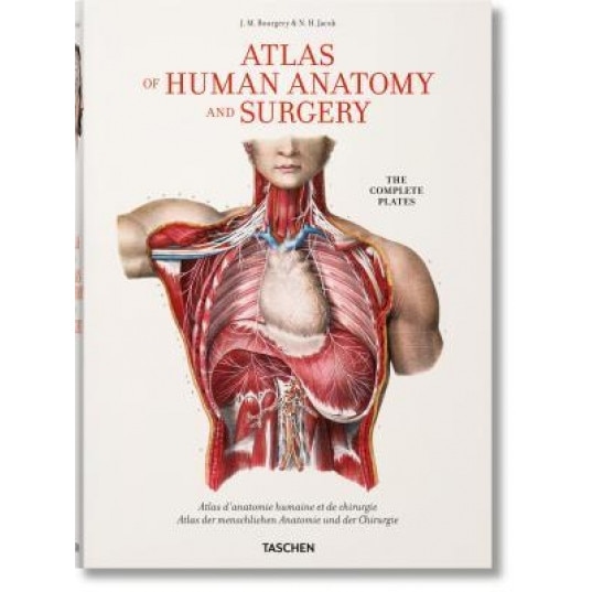 Bourgery: Atlas of Human Anatomy and Surgery - Jean-Marie Le Minor (Author)