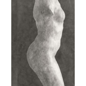 Rodin: Photographs by Emmanuel Berry, Auguste Rodin (Artist) Rodin: Photographs by Emmanuel Berry, Auguste Rodin (Artist)