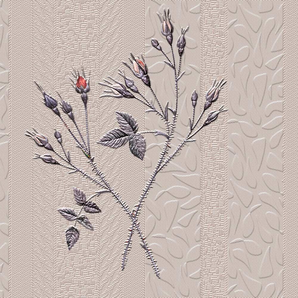 Tapet Garden ,DK.41147-4 gama Premium,10.60 mp/rola, superlavabil, destinat oricarei incaperi, dimensiune rola 10,6 mp