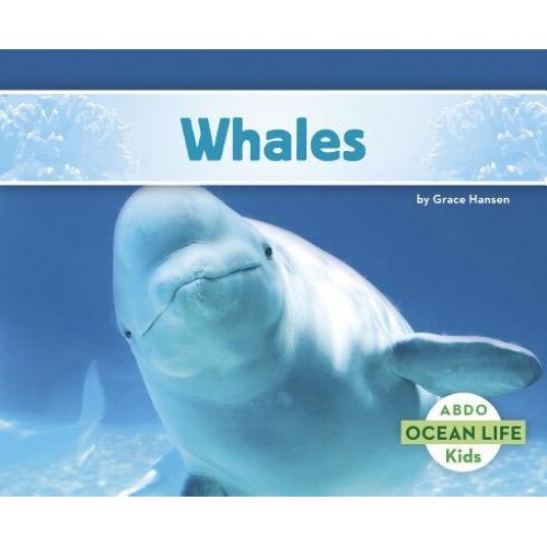 Whales, Grace Hansen (Author)