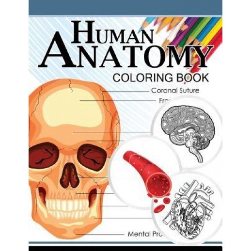 Human Anatomy Coloring Book: Anatomy & Physiology Coloring Book 3rd Edtion, Dr Michael D. Clark (Author)