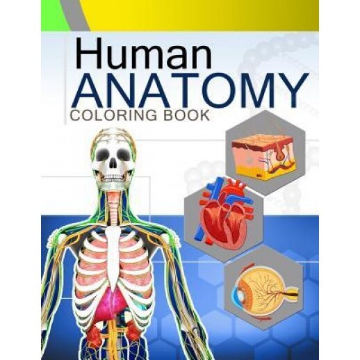 Human Anatomy Coloring Book Anatomy & Physiology Coloring Book 2nd