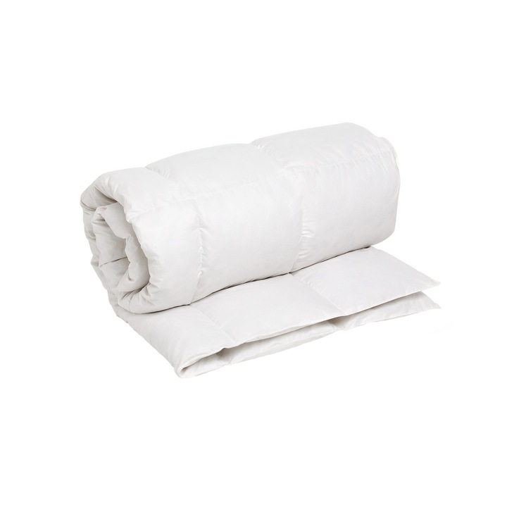 Pilota cu 40% puf si 60% pene de gasca Green Future Celestial, tratament antialergic, 220 x 200 cm