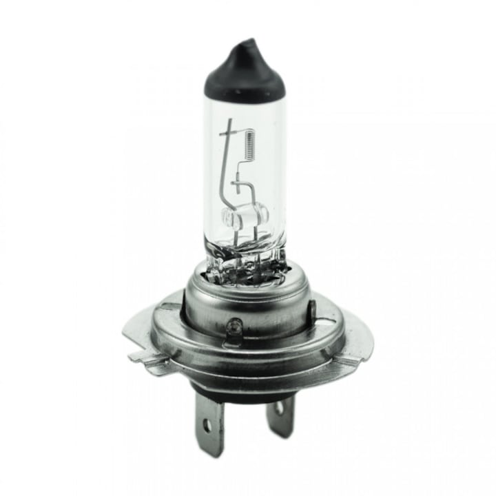 Bec halogen, carguard, h7 55W