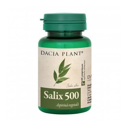 Salix 500 Dacia Plant 60cpr