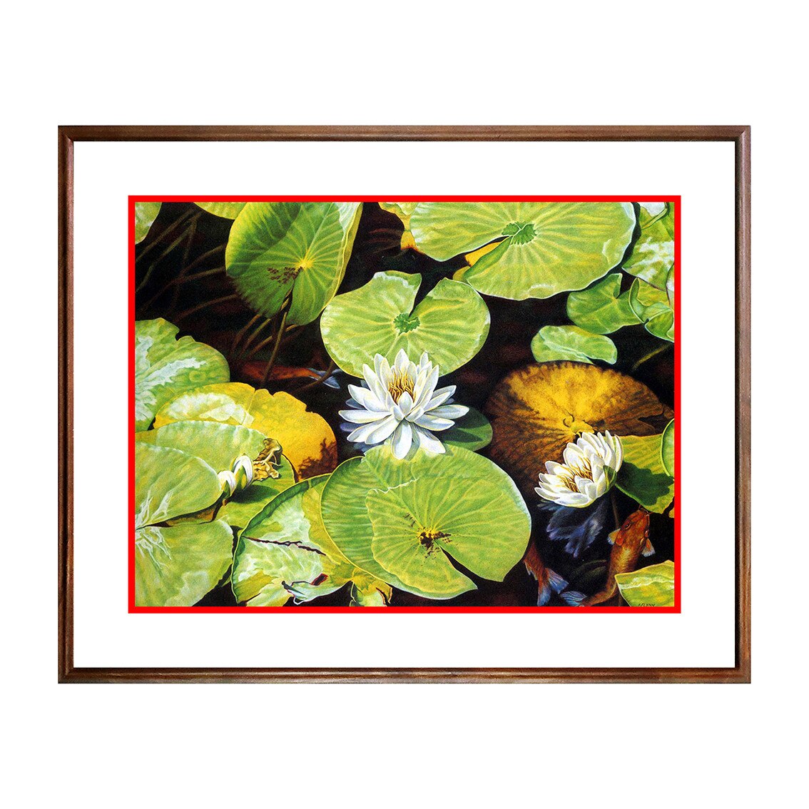 Tablou Poster, Flori - FL-027, 40 x 50 cm