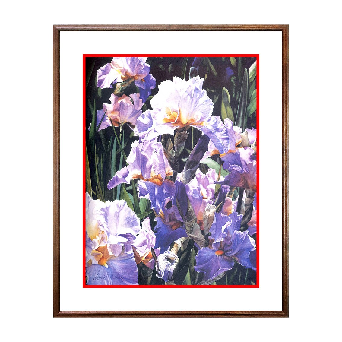 Tablou Poster, Flori - FL-016, 40 x 50 cm