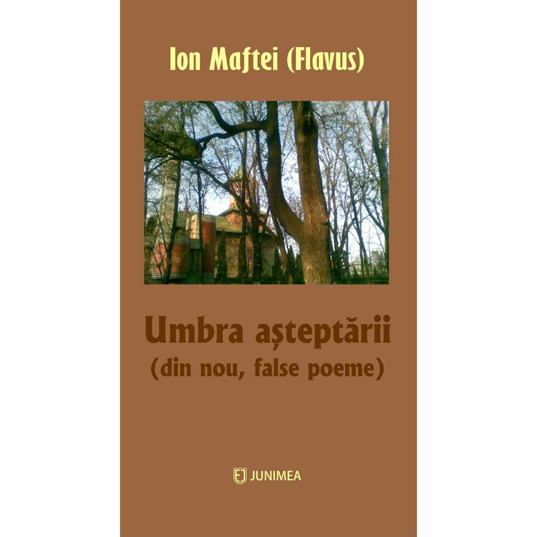 Umbra asteptarii - Ion Maftei (Flavus)