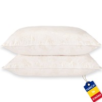 set de 2 perne cu puf si pana de gasca 70cm x 70cm alb cu trandafiri argintii imagen 53_0_
0