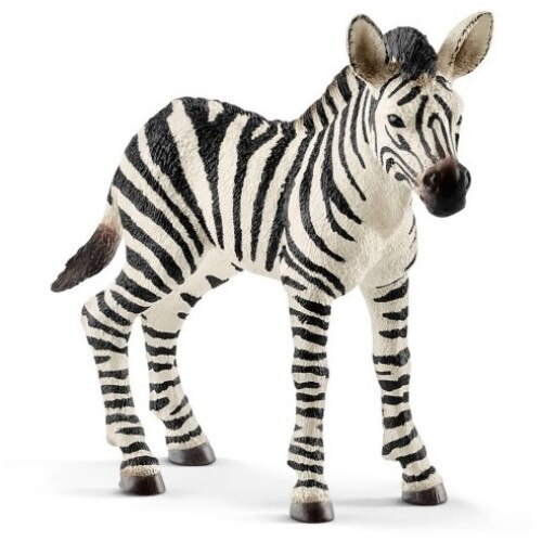 Figurina Schleich, Pui Zebra SLH14811, Multicolor