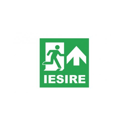 Sticker decorativ StickerStore Iesire sus, 20x20 cm, Verde