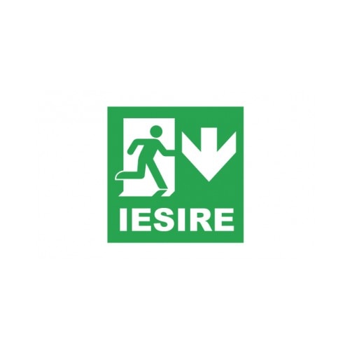 Sticker decorativ StickerStore Iesire jos, 20x20 cm, Verde