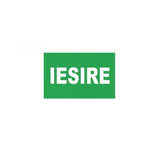 Sticker decorativ StickerStore Iesire, 30x20 cm, Verde