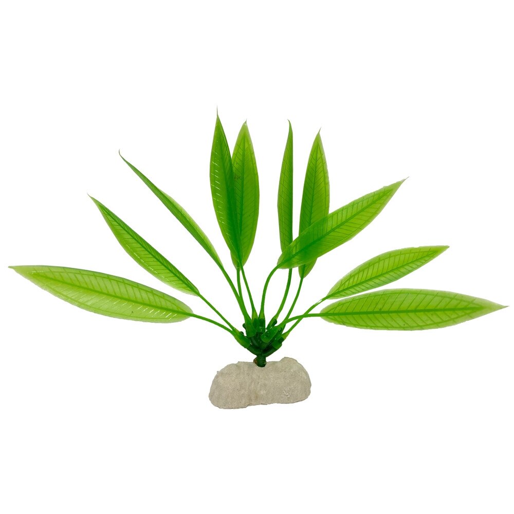 Planta plastic ECHINODORUS 13 cm (4 inci )