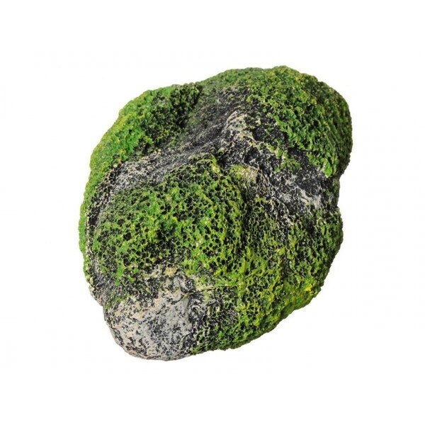 Roca flotanta pentru acvariu marime L