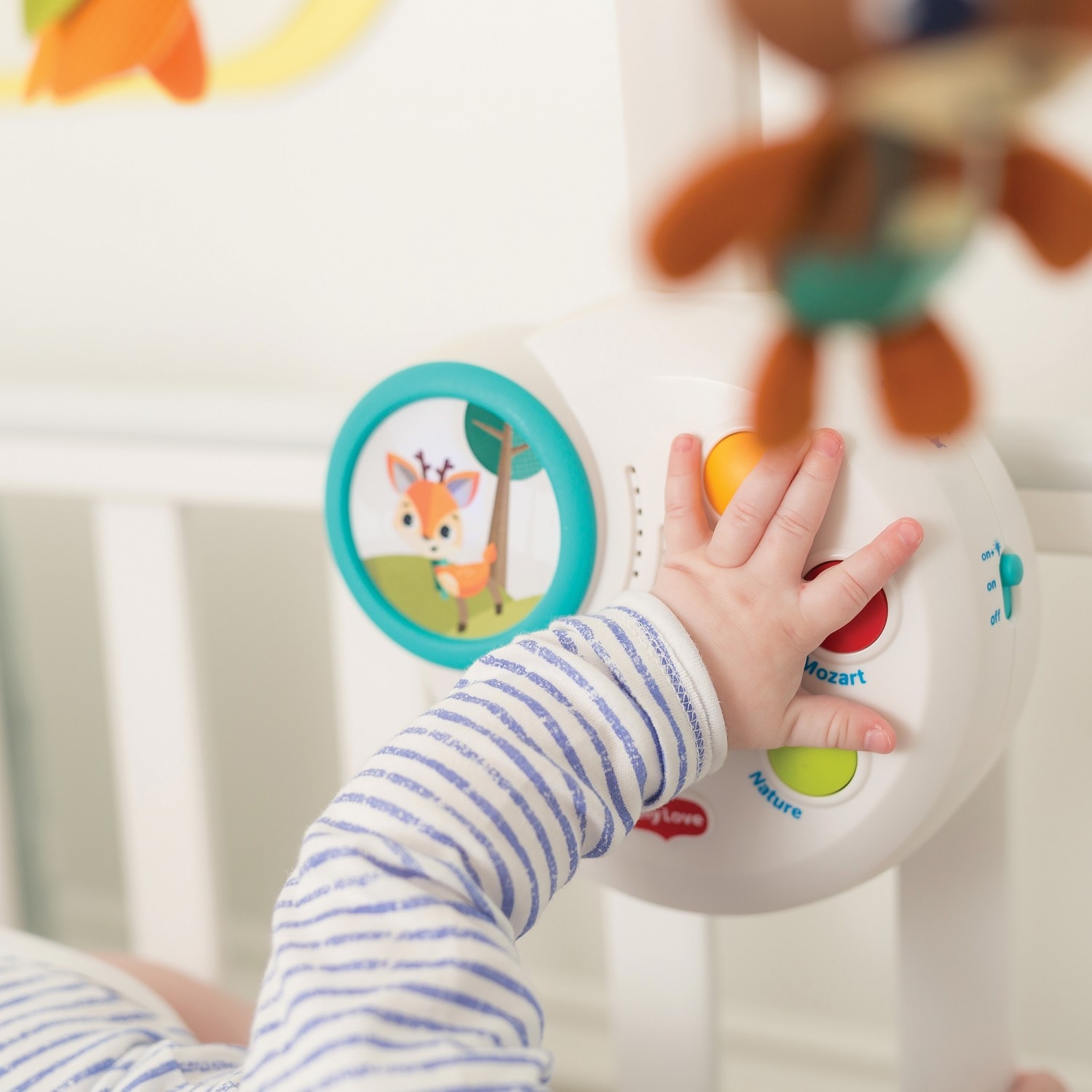 Carusel muzical clasic, Into the Forest, Tiny Love