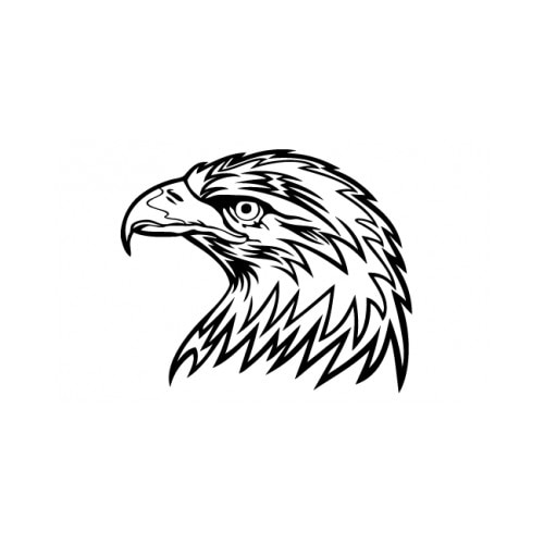 Sticker decorativ StickerStore Vultur, 60x50 cm, Negru