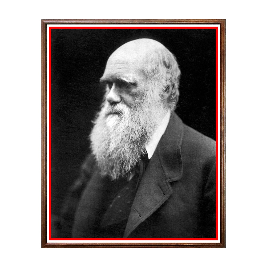 Tablou Poster, Celebritati, Charles Darwin - CLB-048, 40 x 50 cm